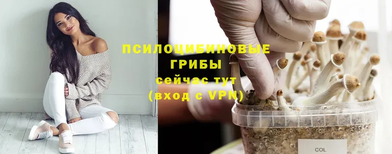 ссылка на мегу ONION  Кумертау  Галлюциногенные грибы Psilocybe 